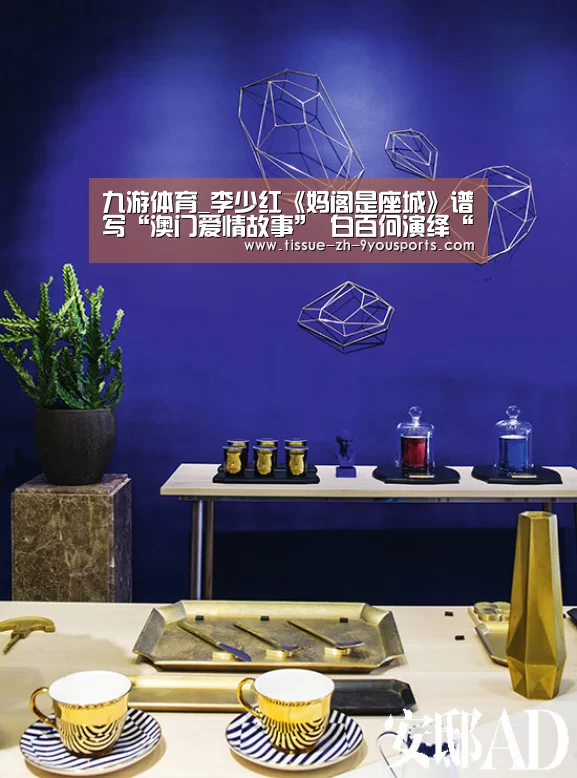 九游体育_李少红《妈阁是座城》谱写“澳门爱情故事” 白百何演