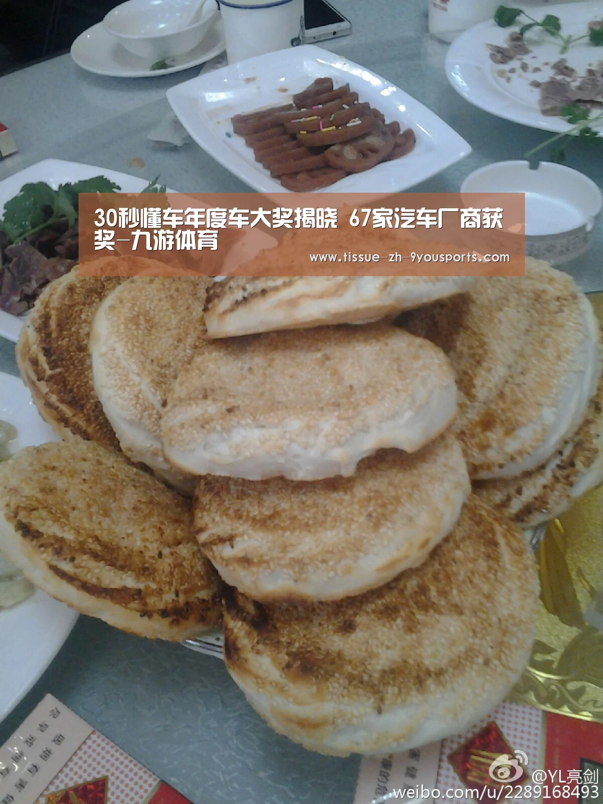 30秒懂车年度车大奖揭晓 67家汽车厂商获奖-九游体育(图4) 九游体育