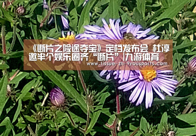 《断片之险途夺宝》定档发布会  杜淳邀半个娱乐圈齐“断片”|