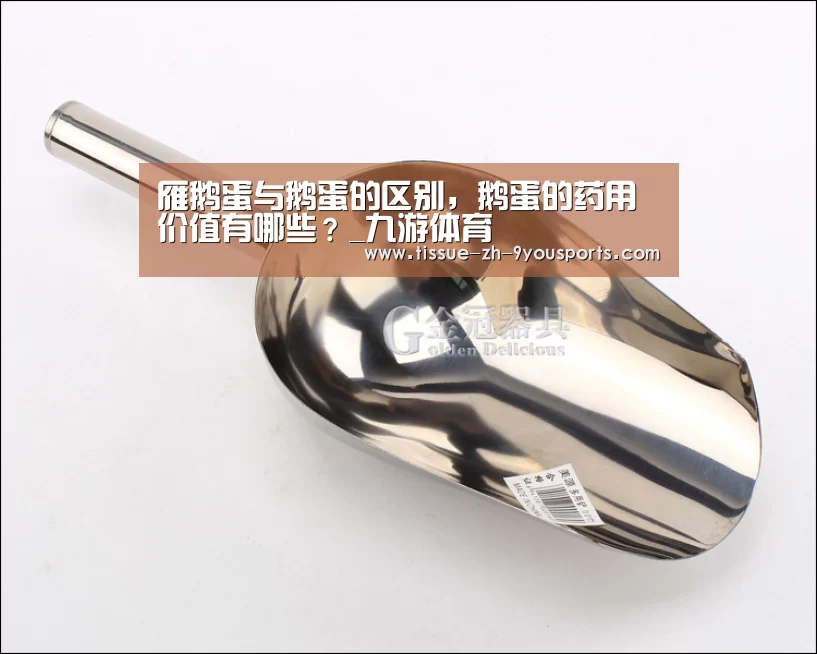 雁鹅蛋与鹅蛋的区别,鹅蛋的药用价值有哪些?_九游体育(图2) 九游体育