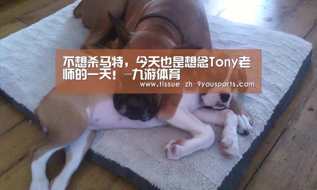 不想杀马特,今天也是想念Tony老师的一天!-九游体育(图2) 九游体育